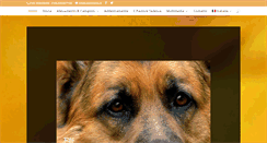 Desktop Screenshot of casanmarco.it